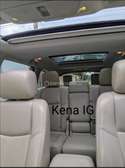 NISSAN PATHFINDER PLATINIUM VIP